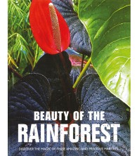 Beauty of the Rainforest (Large Format)