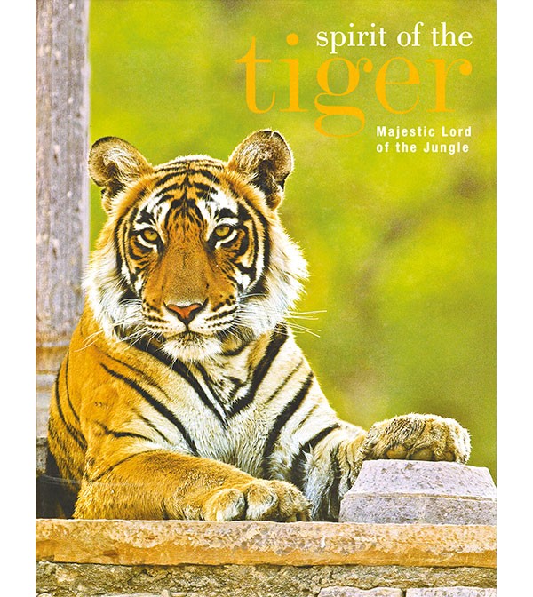 Spirit of the Tiger Majestic Lord of the Jungle