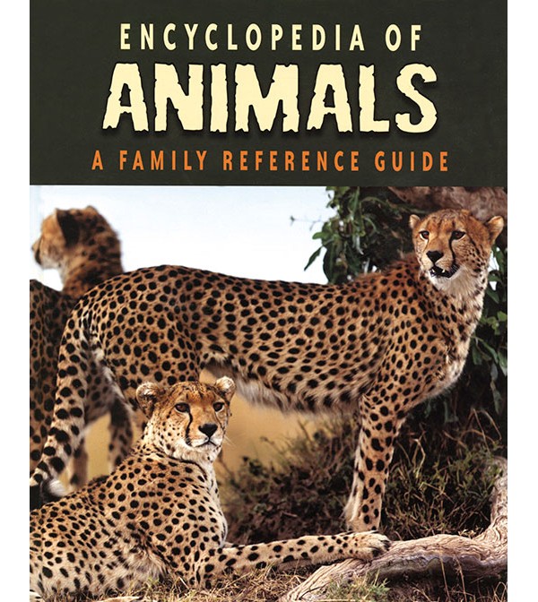 Encyclopedia Of Animals A Family Reference Guide
