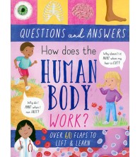 Questions and Answers Human Body