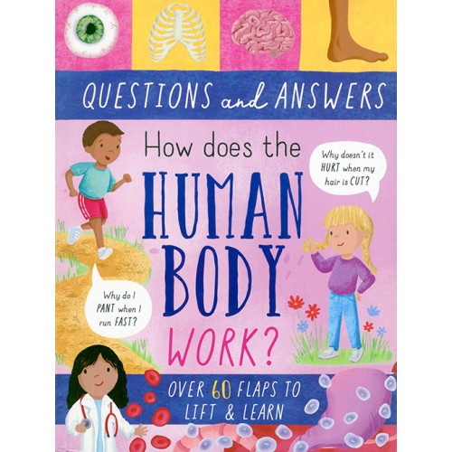 Questions and Answers Human Body