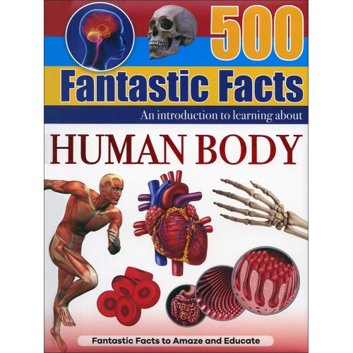 500 Fantastic Facts Human Body