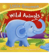 Little Groovers Board Book Series (4 Titles)