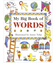 My Big Book of Words