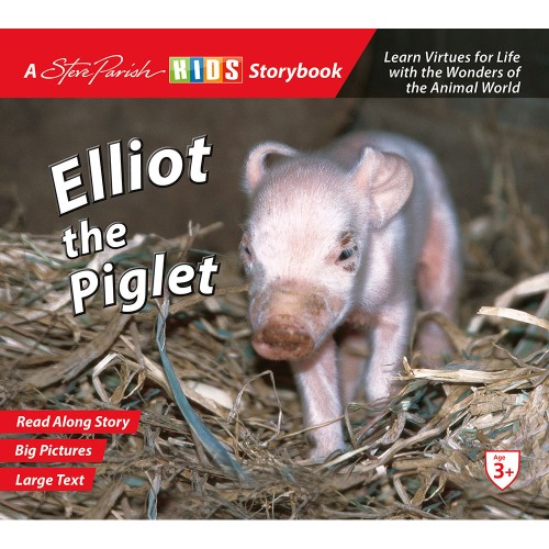 Elliot the Piglet