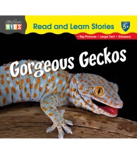 Gorgeous Geckos