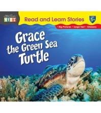 Grace the Green Sea Turtle